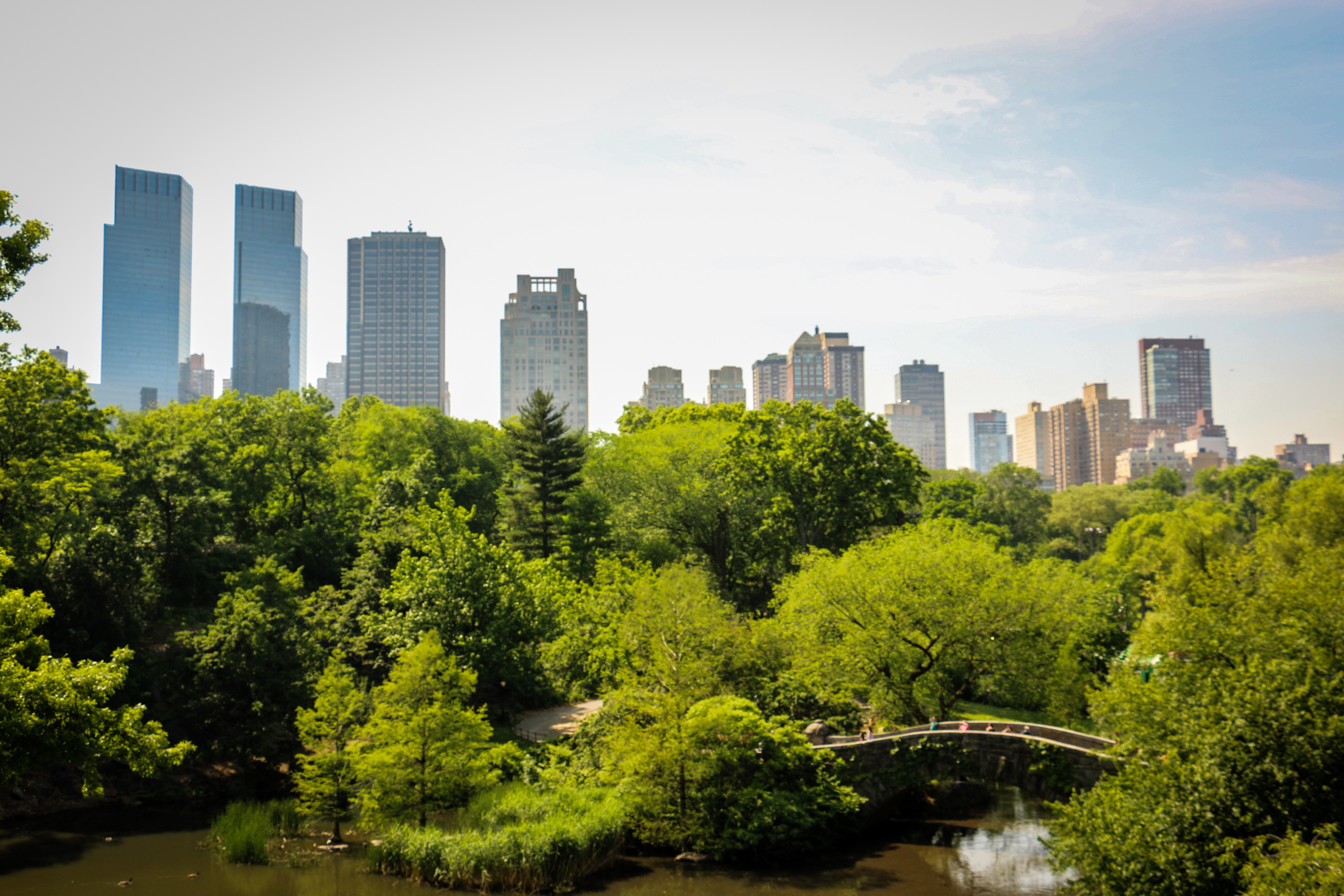 An Upstater’s View on New York City