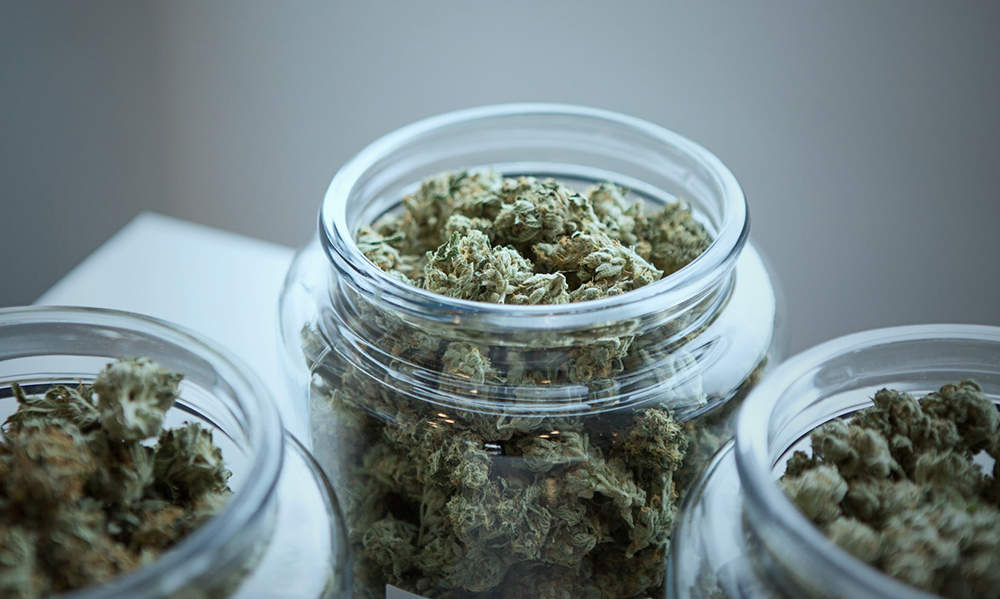 Walls of Jericho Drummer Arrested for Allegedly Carrying Over 600 Pounds of Marijuana