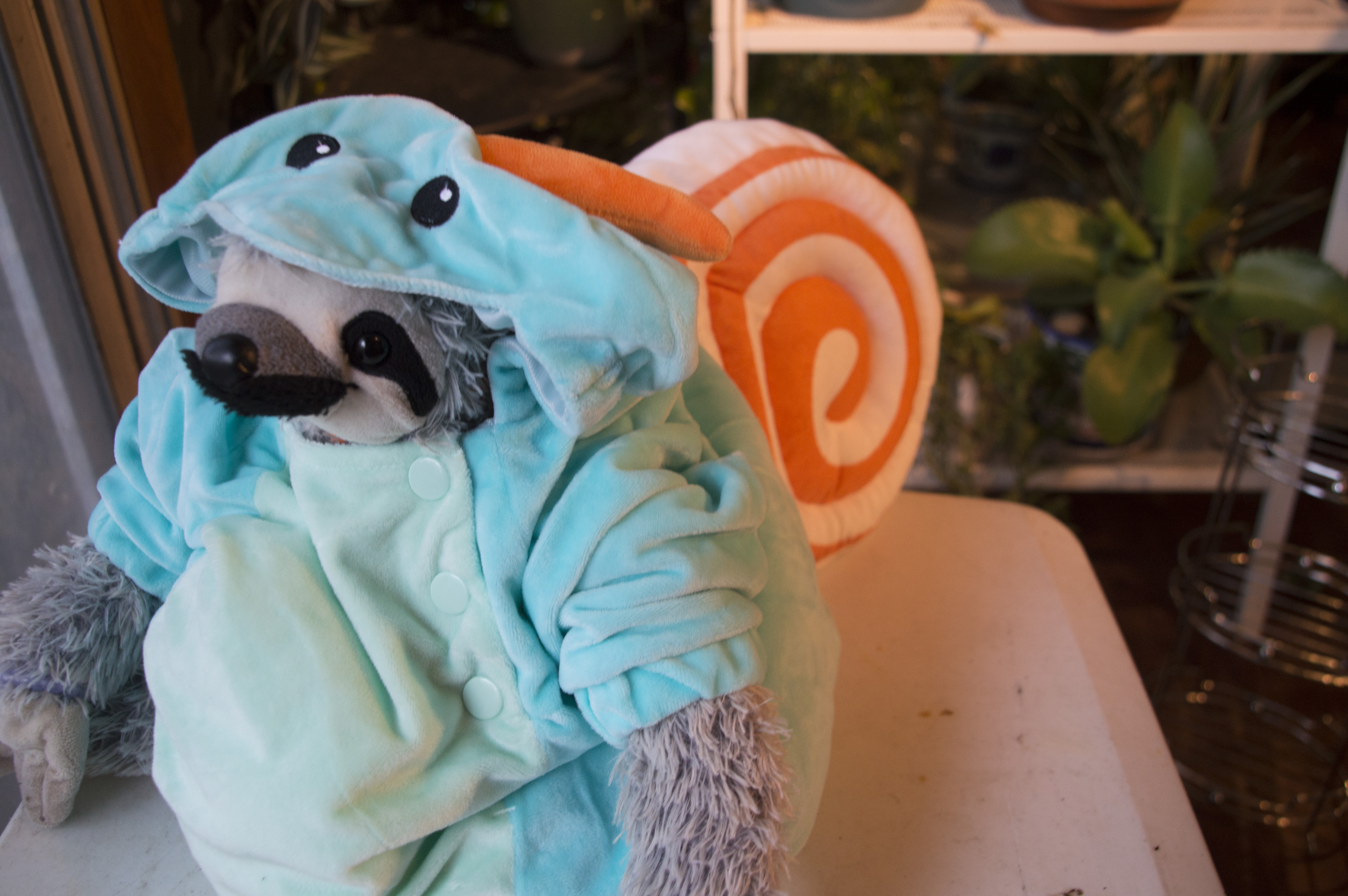 QUARANTINED: Little Baby Crepes