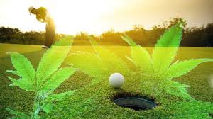 Olde Saratoga Miniature Golf Opens “Puff Puff Putt” Weekly Marijuana Sessions