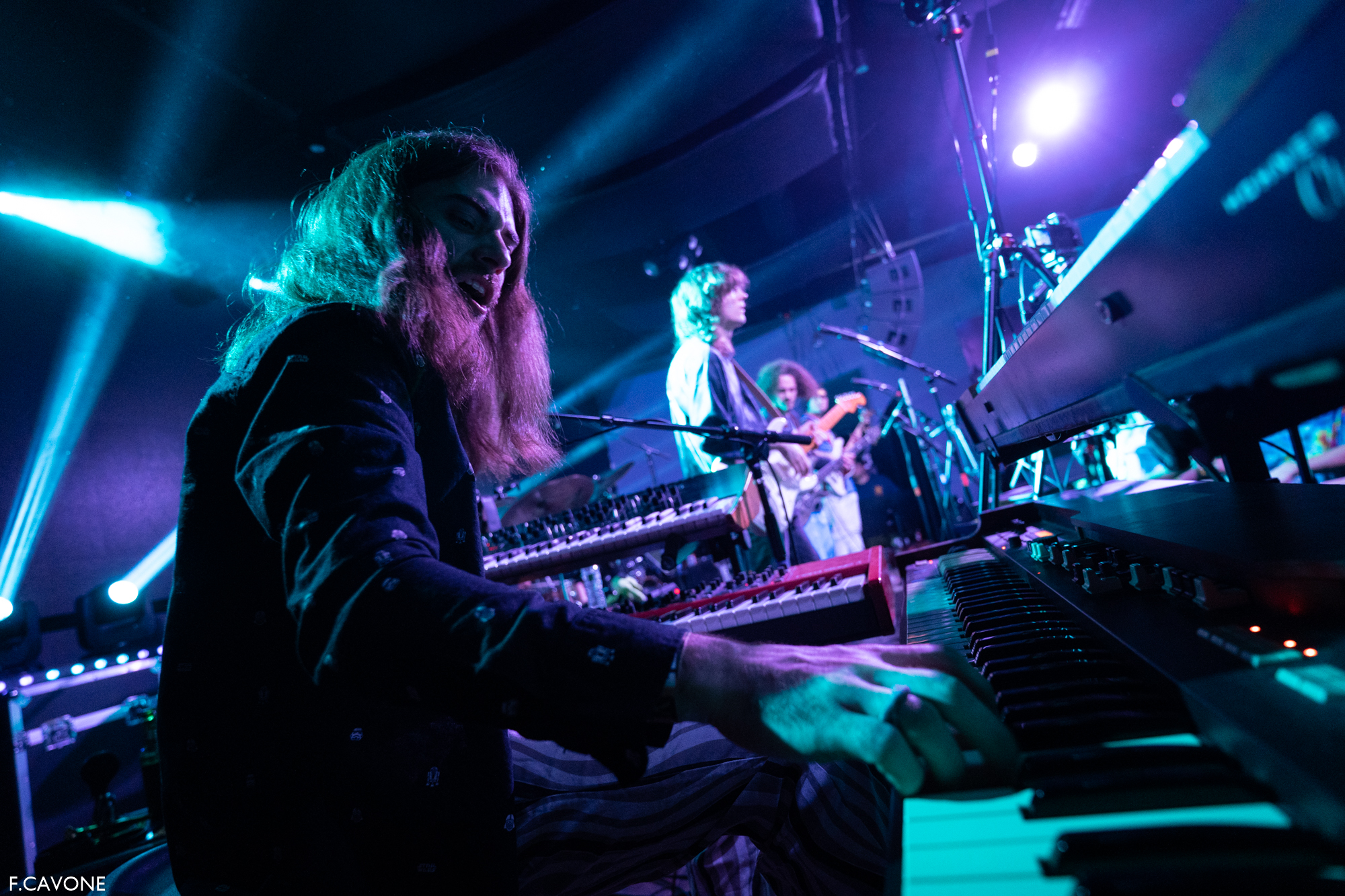 Dogs In A Pile Announce 2024 Fall Tour Dates