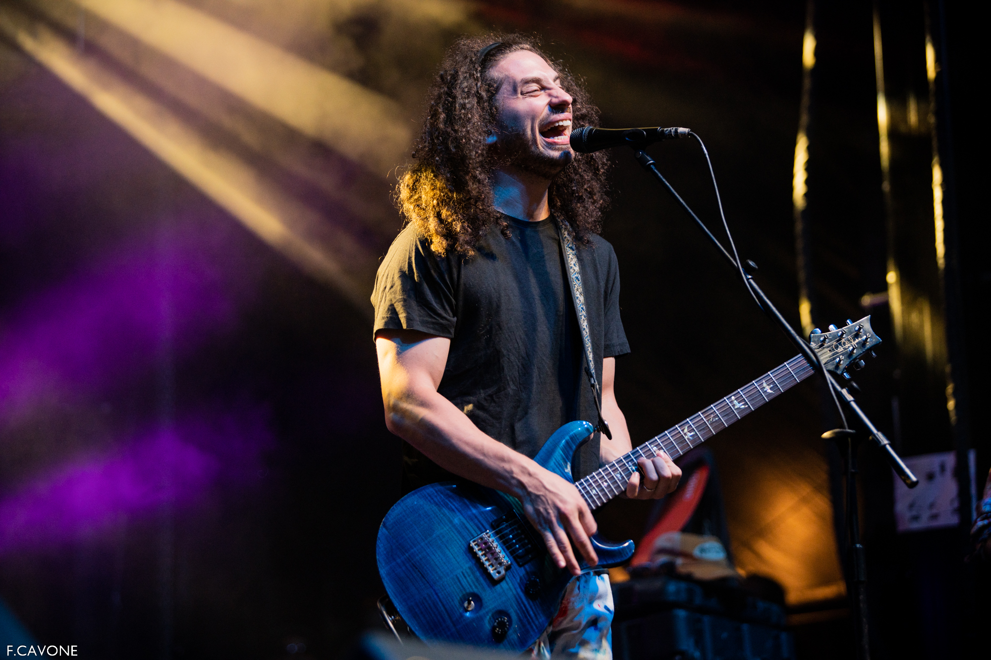 Pigeons Playing Ping Pong Announces 2023 Fall Tour With Dogs in a Pile