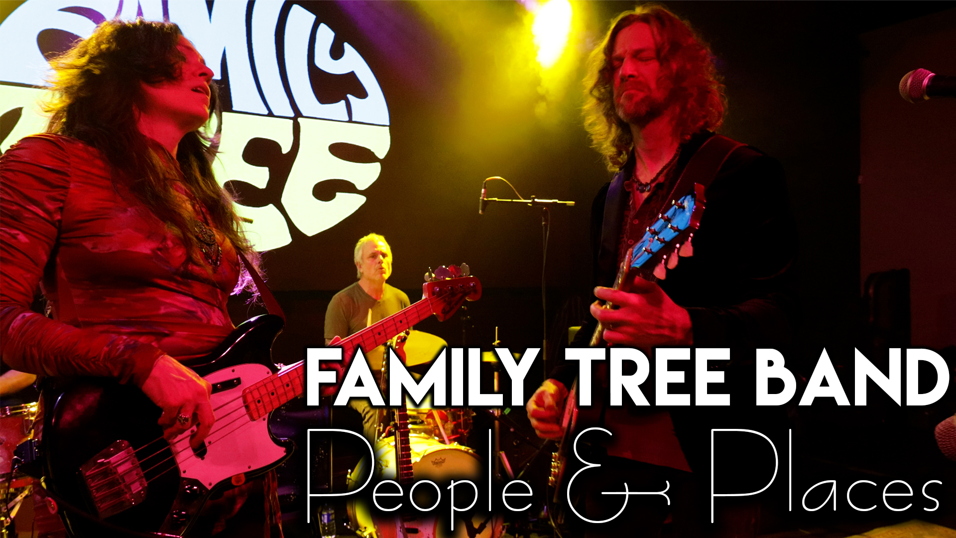 Video: Family Tree Band | People and Places