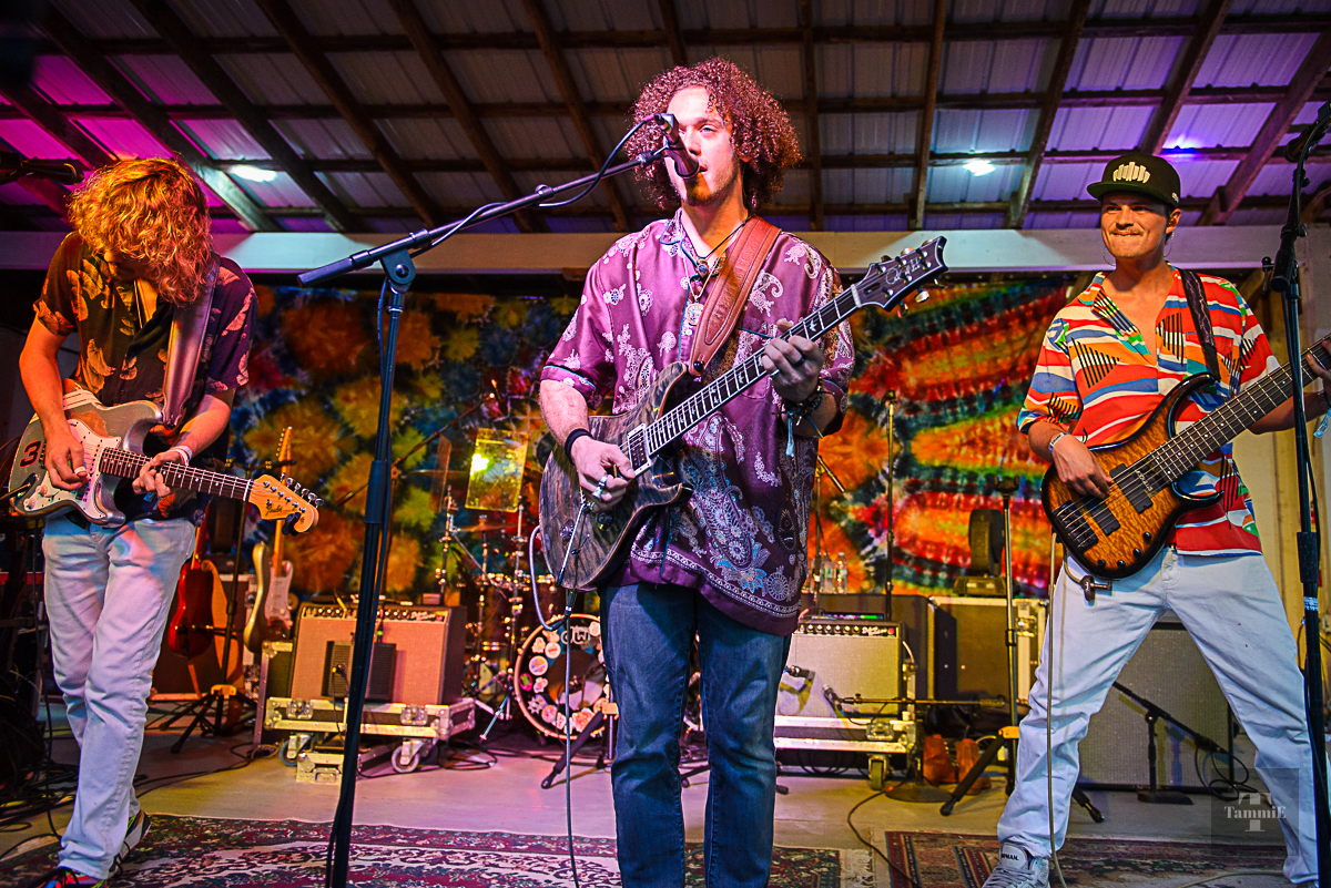 Video: Dogs in a Pile Live at Rye Bread Music and Arts Festival | Full Show