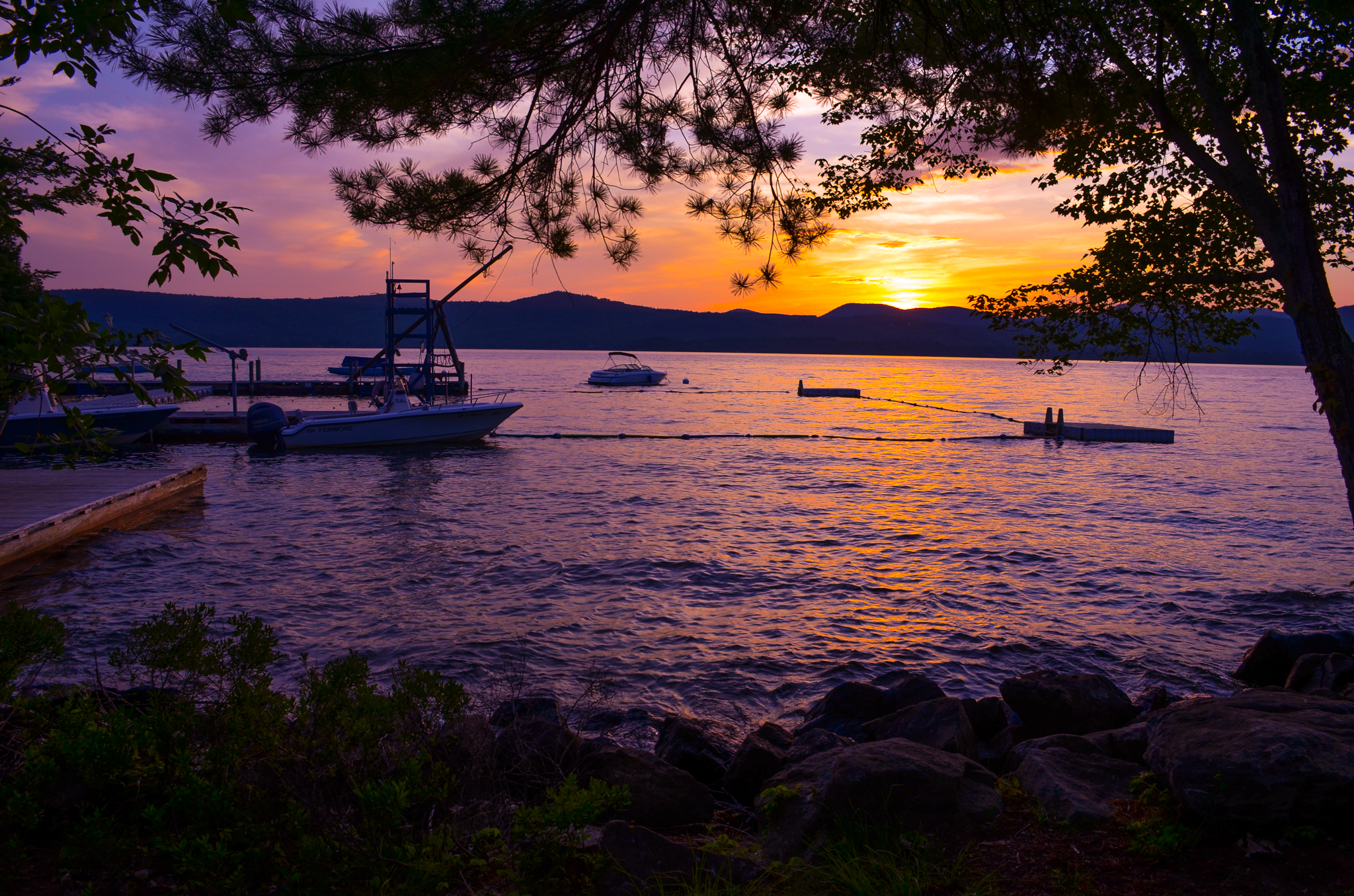 The Camp Rocks Benefit Concert: Support Great Music and a Great Cause