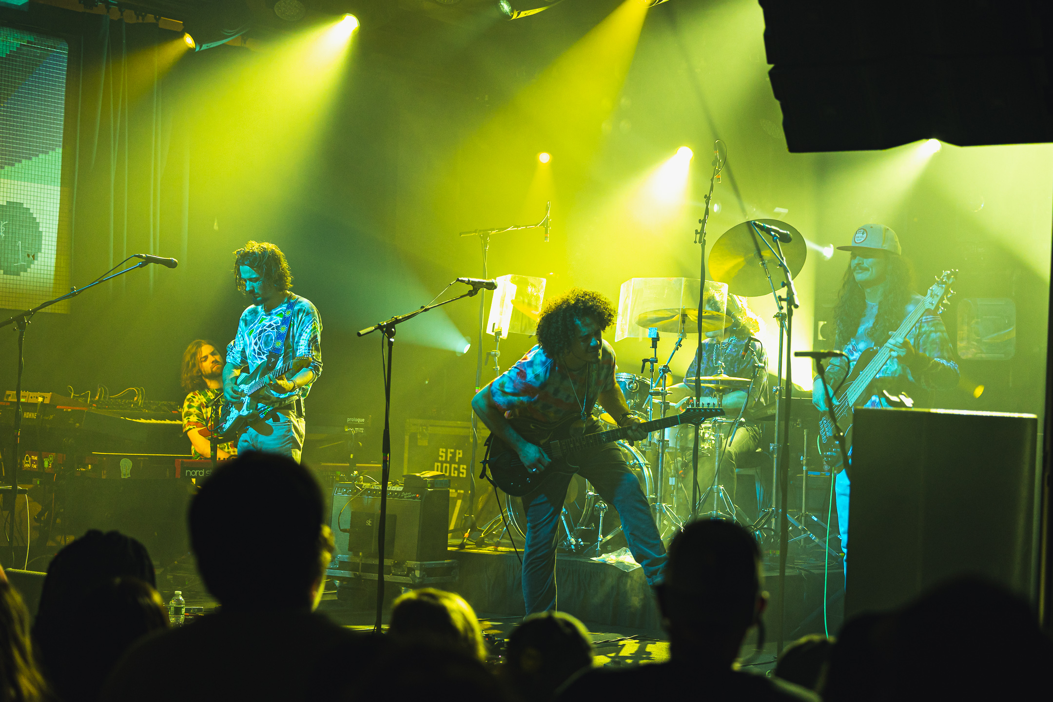 Dogs in a Pile at Empire Live in Albany, NY on 4.18.26